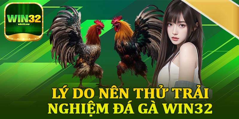 Lý Do Nên Thử Trải Nghiệm Đá Gà Win32