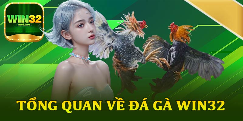 Tổng Quan Về Đá Gà Win32