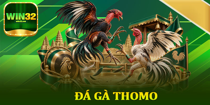 Đá Gà Thomo